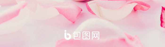 粉色玫瑰520表白日app启动页UI界面