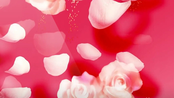 粉色色调白色花朵飘落大气婚礼背景视频