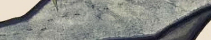 手绘工笔花鸟中式背景墙装饰画