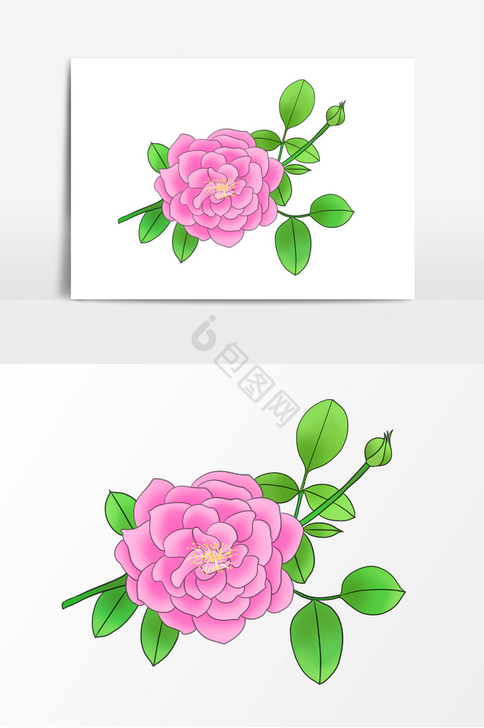 花植物装饰图插画图片