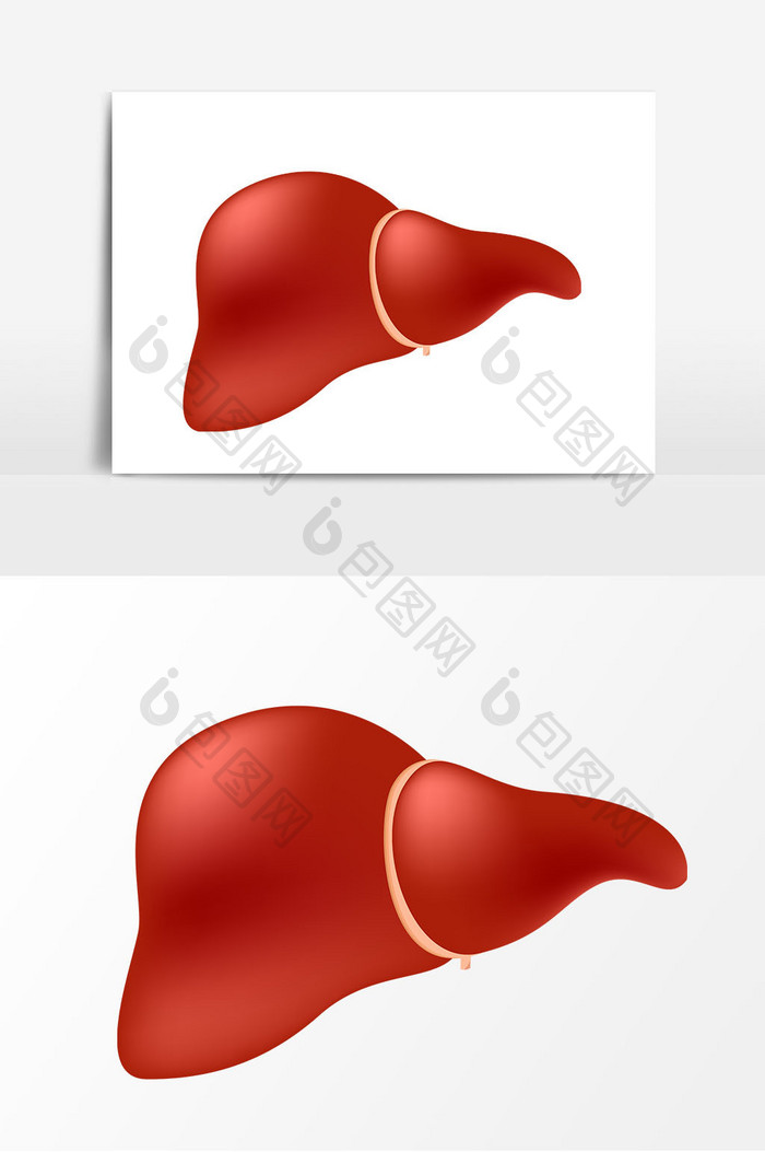 卡通肝脏器官矢量元素