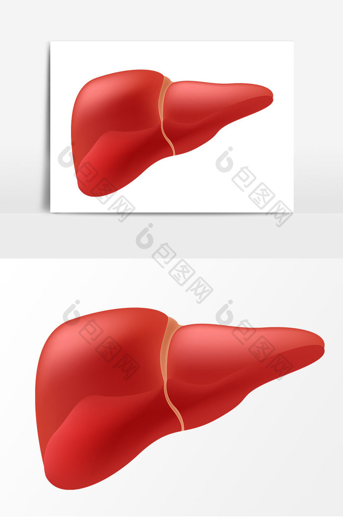 卡通肝脏矢量元素