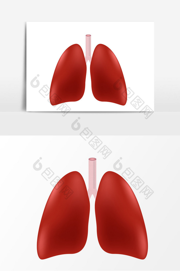 卡通肺脏矢量元素
