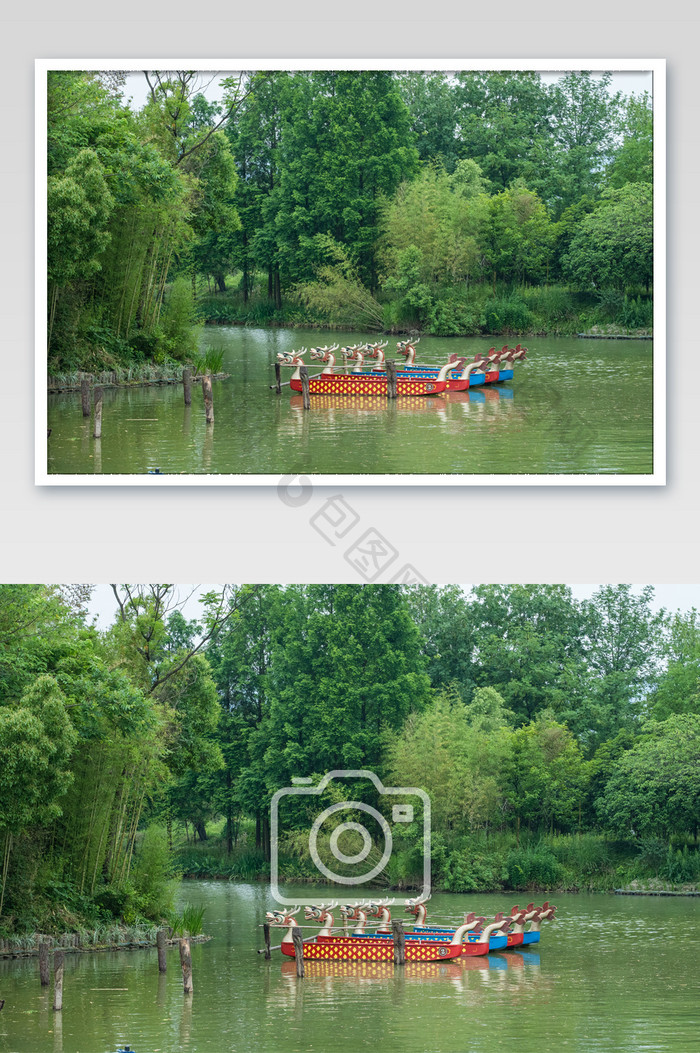 西溪湿地公园龙舟船只高清摄影图