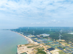 湛江菠萝的海风车风轮机新能源风力发电雨季图片