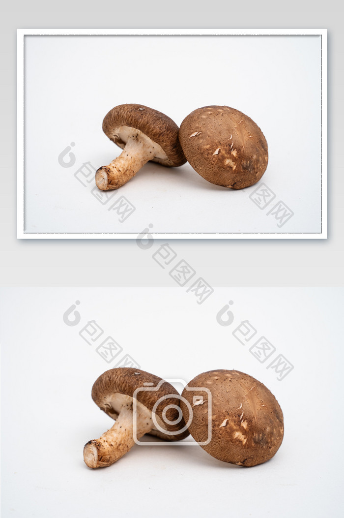 静物摆拍新鲜香菇食材健康营养高清图片