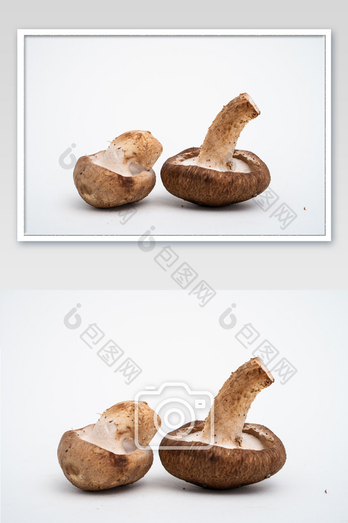 静物摆拍新鲜香菇食材健康营养摄影图