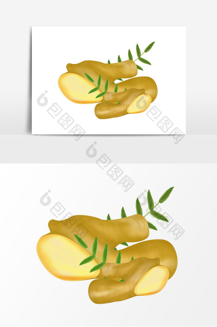 生姜食物插画图片图片