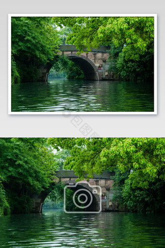 杭州西湖美景绿色生机中式桥梁高清图图片