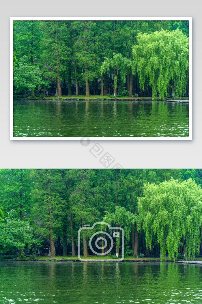 杭州西湖美景绿色生机高清摄影图