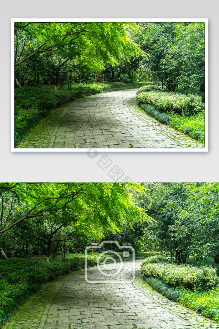 杭州西湖边景道路清静高清摄影图图片图片
