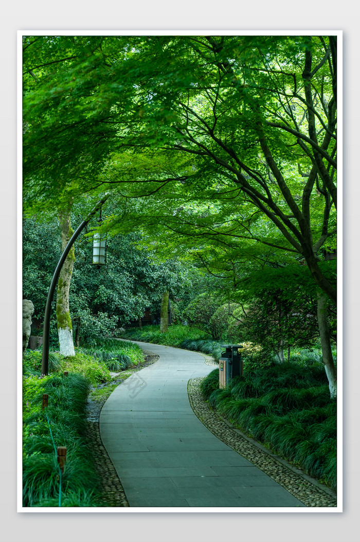 杭州西湖自然景色小路道路高清摄影图