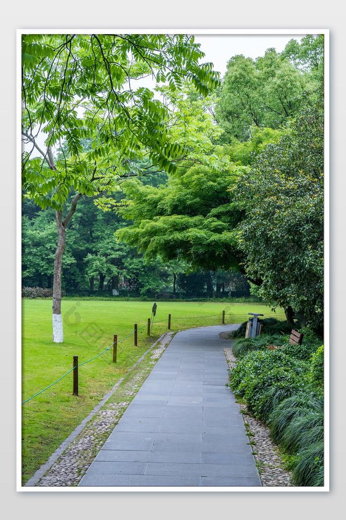 杭州西湖自然景色小路高清摄影图