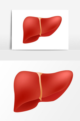 红色肝脏矢量元素