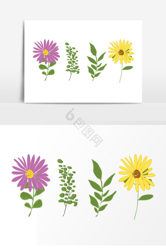 花草植物叶子插画装饰图片