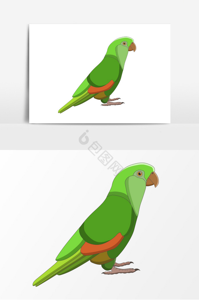 鸟插画动物装饰图图片