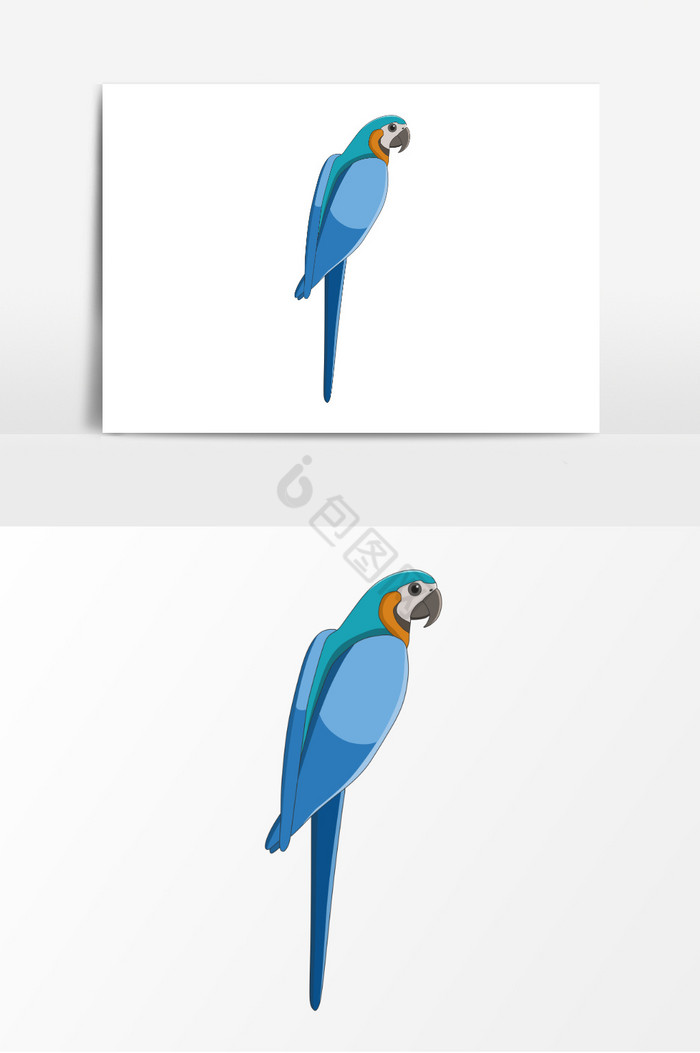 动物鸟装饰图插画图片