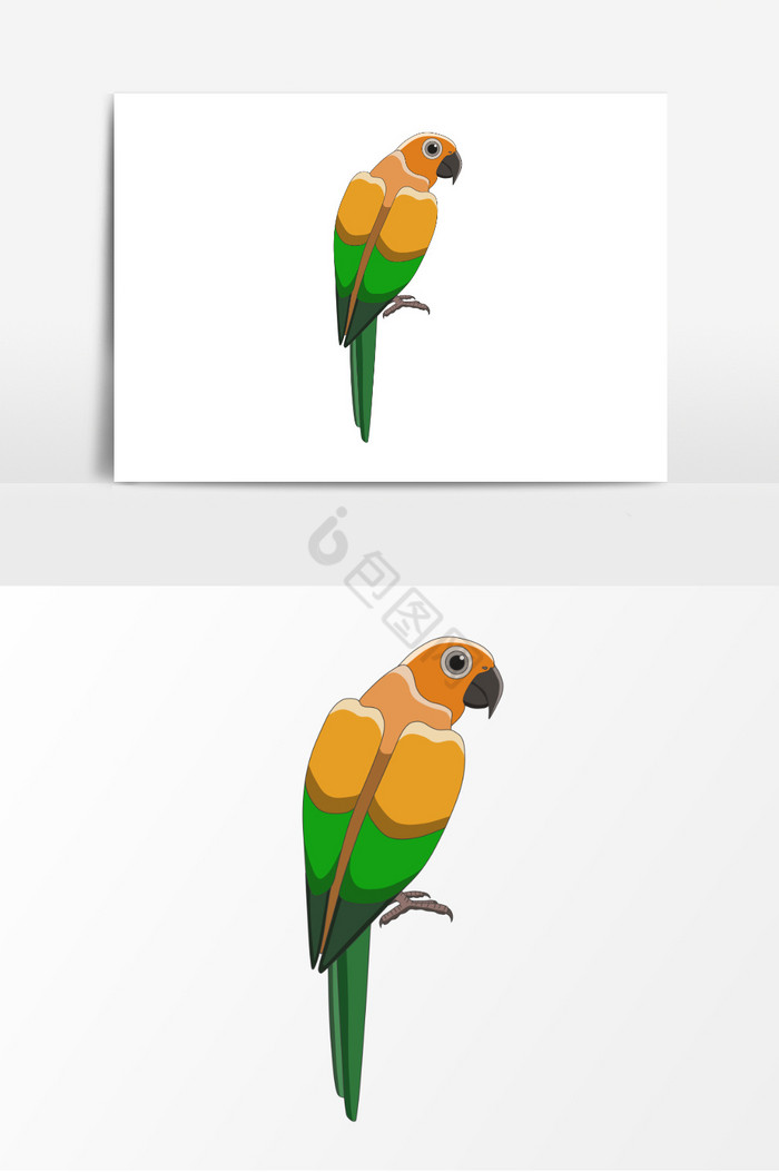 鸟动物插画装饰图图片