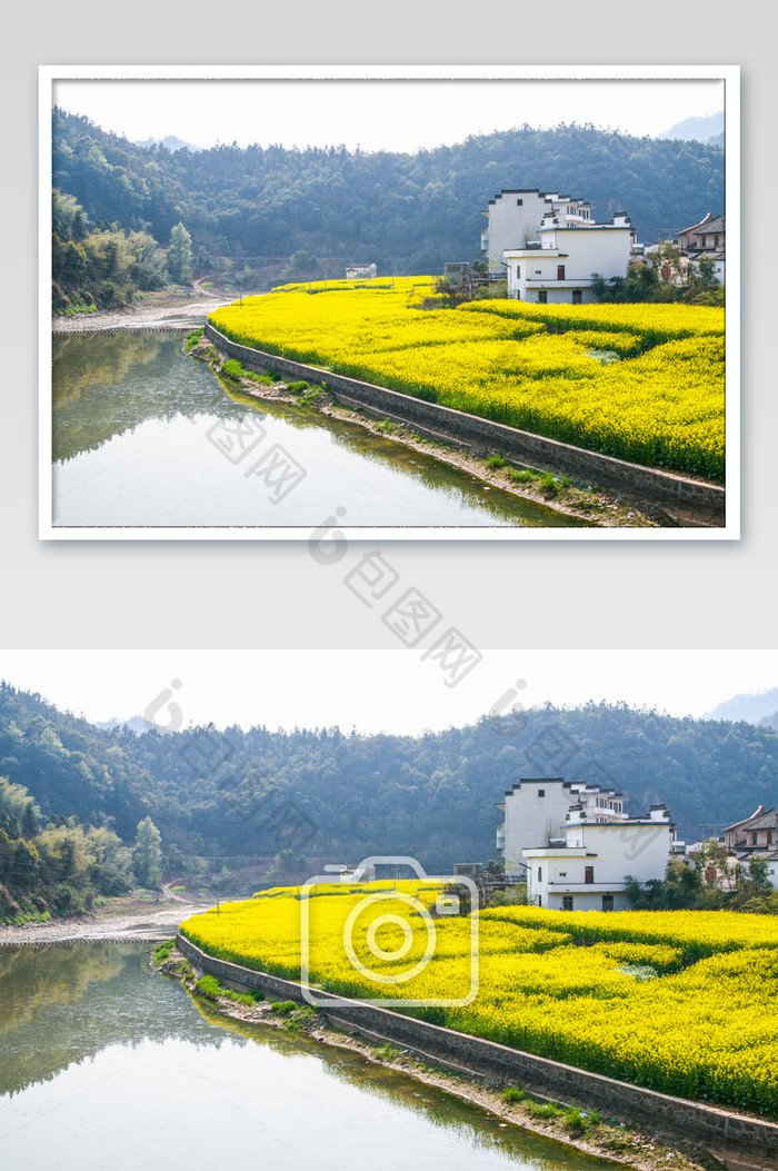 自然风景青山绿水油菜花养生摄影图图片图片