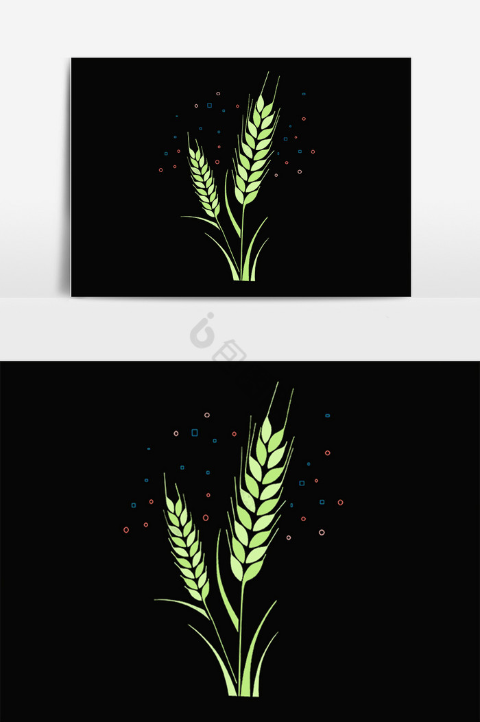小麦麦子麦穗插画图片