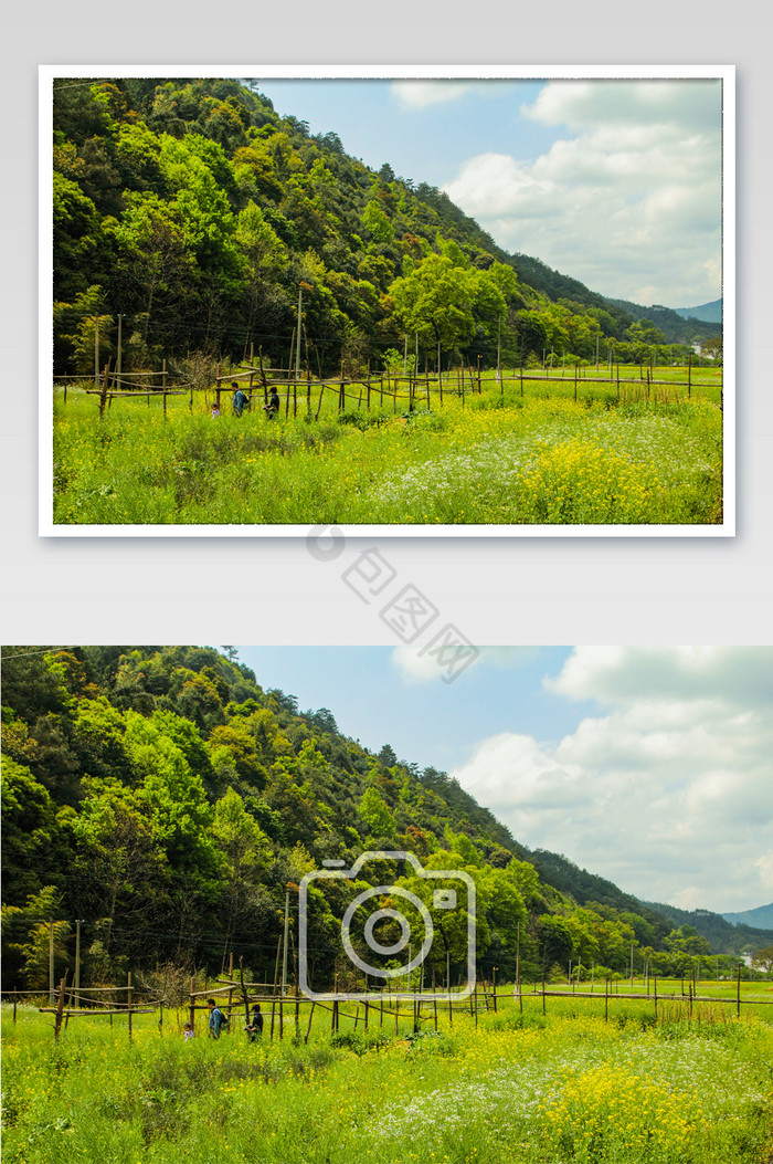 自然风景蓝天草原绿色养生摄影图图片