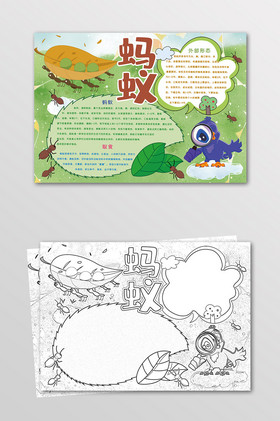 绿色蚂蚁昆虫手抄报黑白线描小报图片