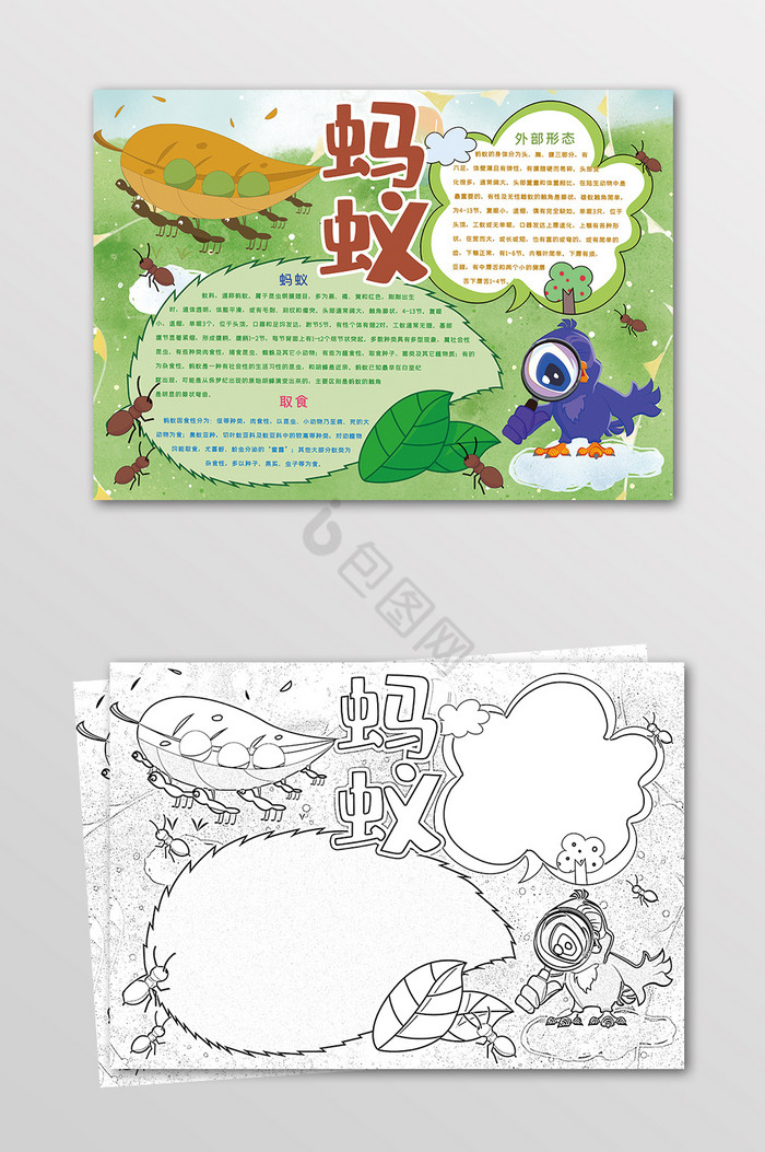 蚂蚁昆虫手抄报黑白线描小报