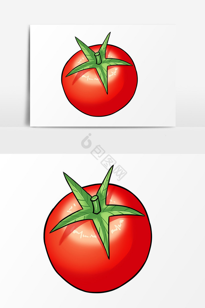 系蔬菜西红柿图片