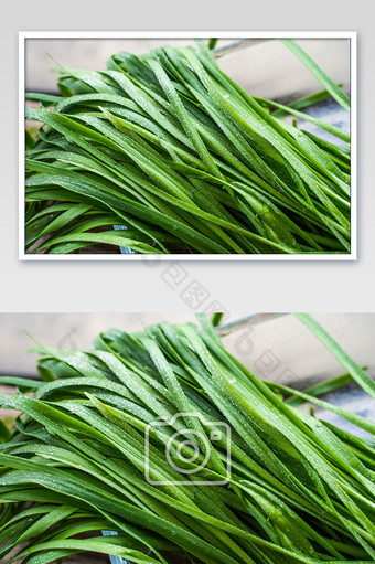 韭菜新鲜食材蔬菜绿色高清摄影图图片