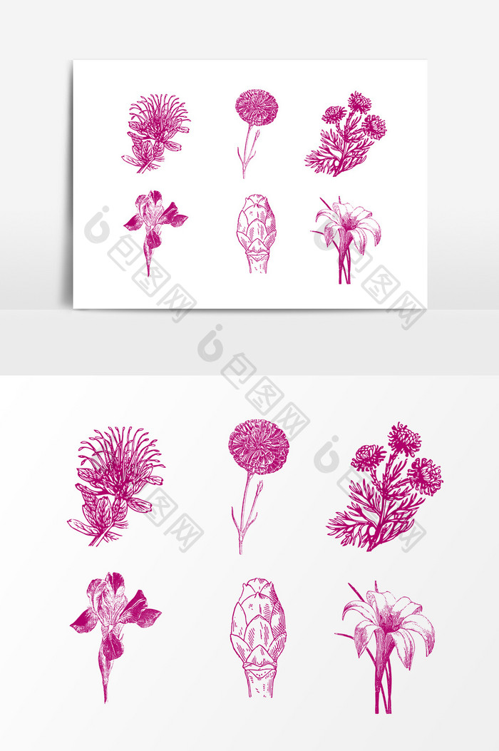 矢量紫色花朵植物设计元素