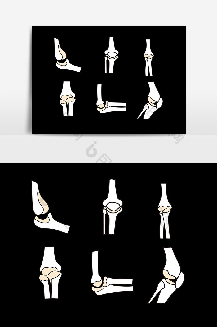 白色骨头骨骼设计元素