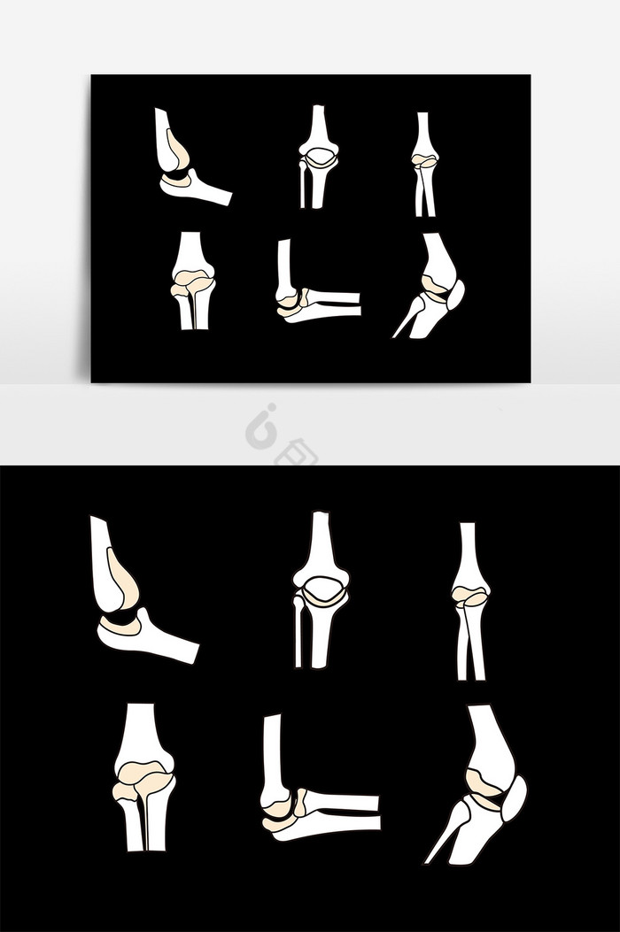 骨头图片-骨头素材免费下载-包图网