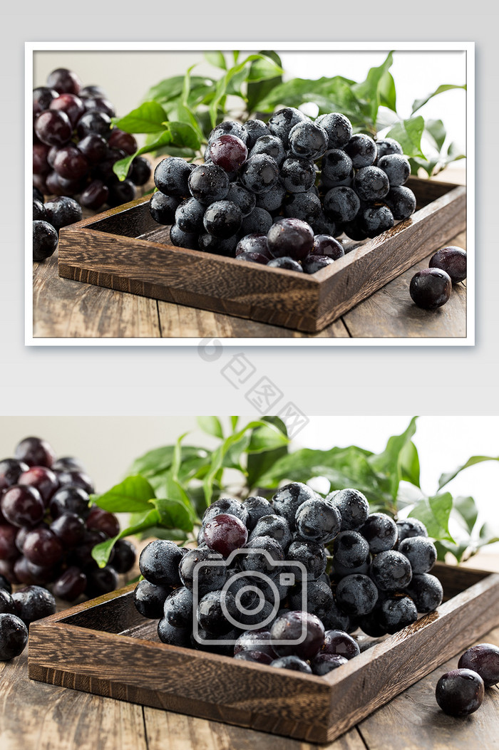 美食水果葡萄高清摄影图片