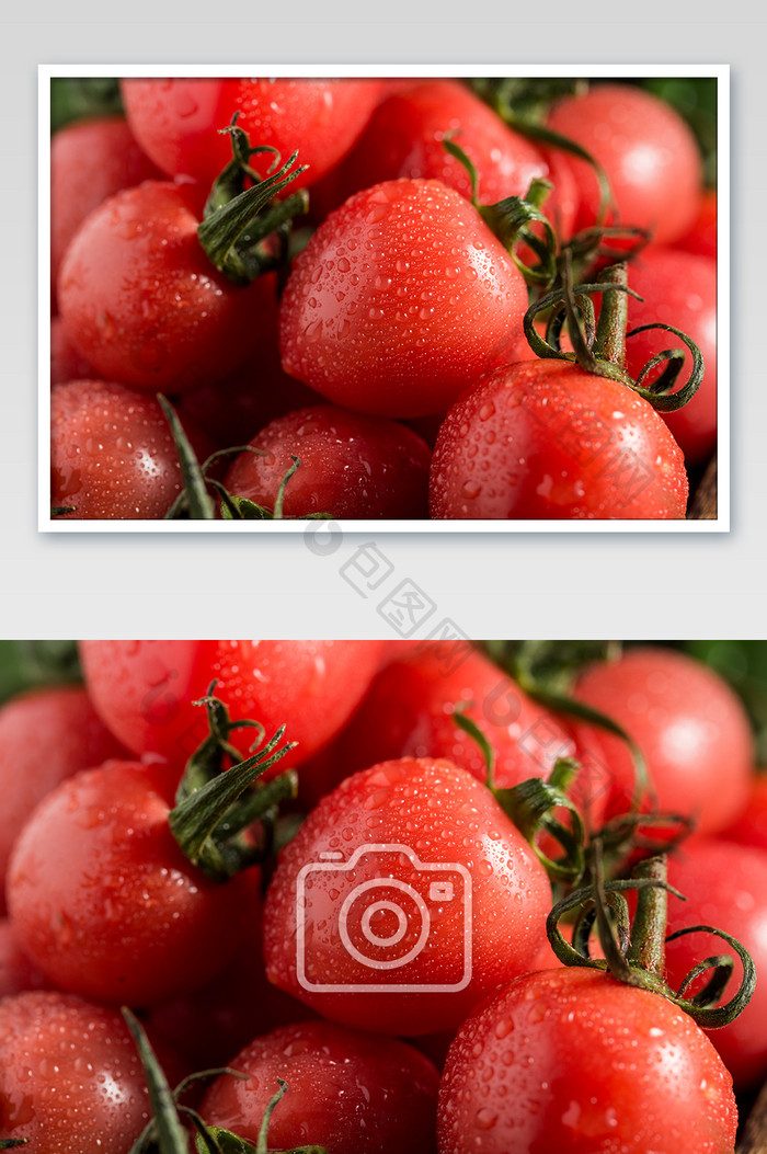 高清美食水果食圣女果摄影图片