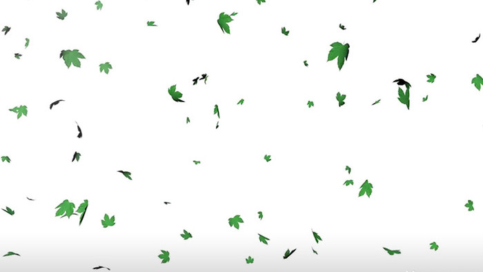 大气梦幻绿色树叶飘落企业宣传相关视频元素