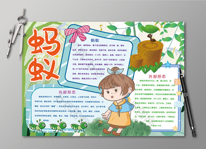 蚂蚁昆虫观察动物黑白线描小报图片