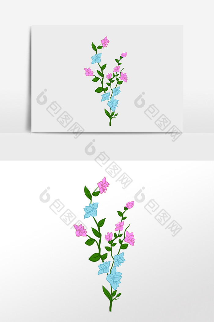 植物花朵花枝插画图片图片