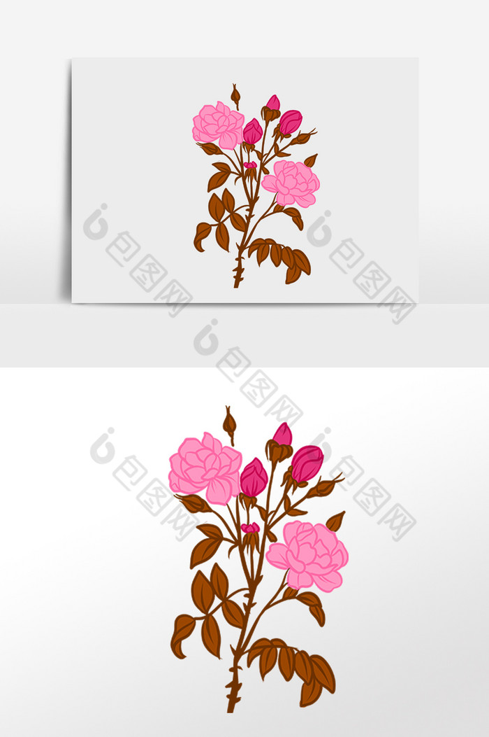 植物花朵花枝插画图片图片