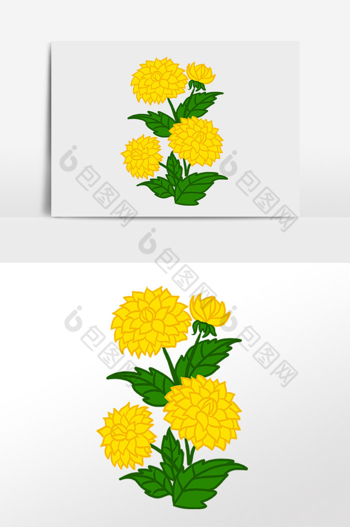 植物花朵插画图片图片