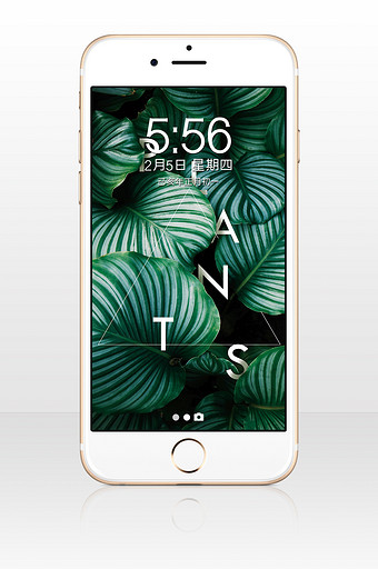 现代北欧装饰画植物装饰画手机壁纸