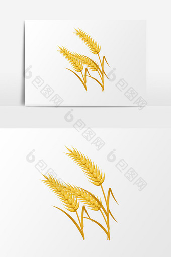 手绘芒种金黄的麦穗图片