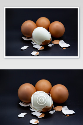 蛋壳和鸡蛋片