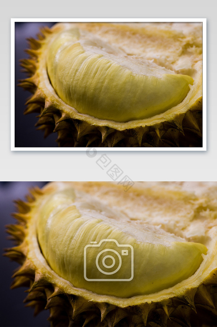 横版榴莲果肉热带水果图片