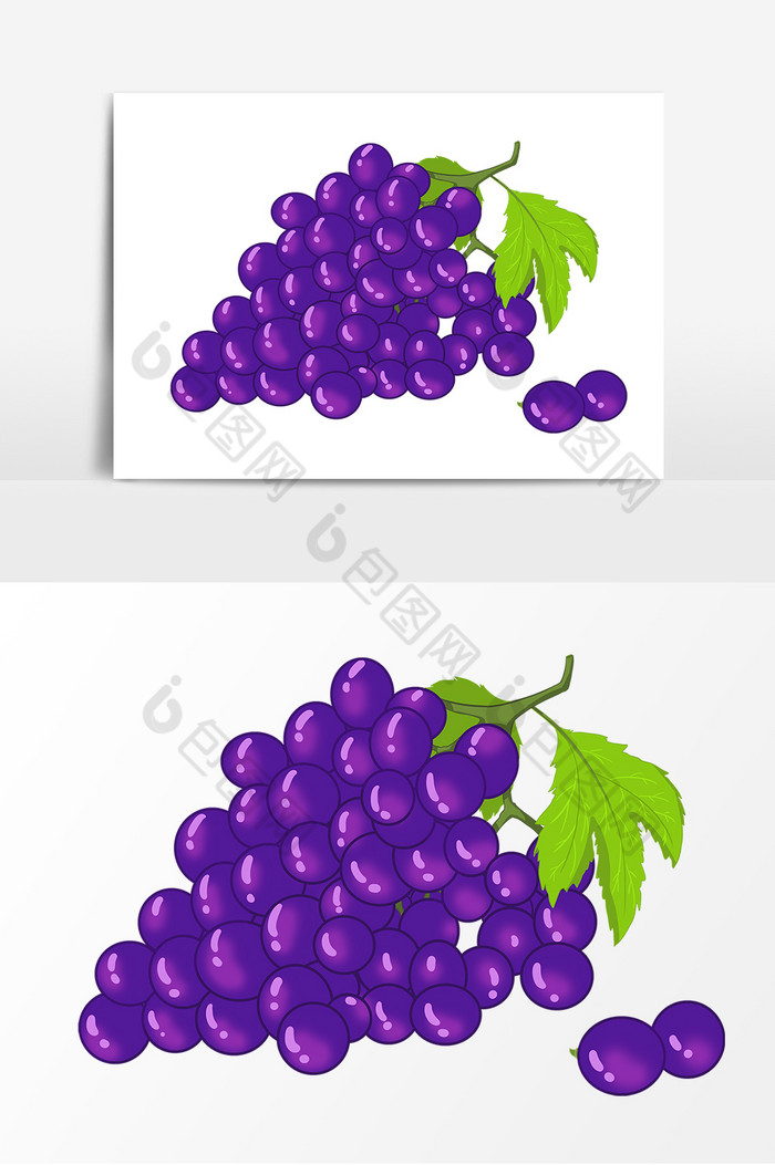 紫葡萄形象图片图片
