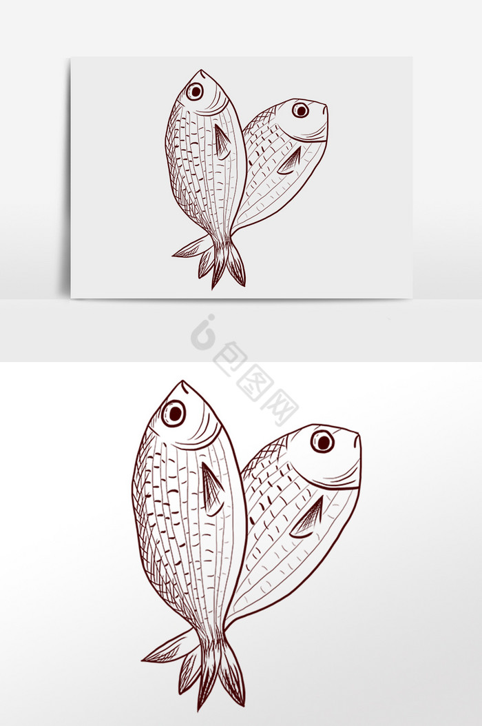 线描素描水产海鱼插画图片
