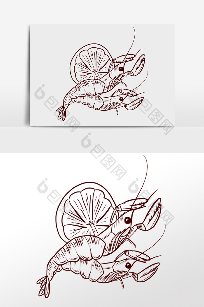 手绘线描素描水产小龙虾插画