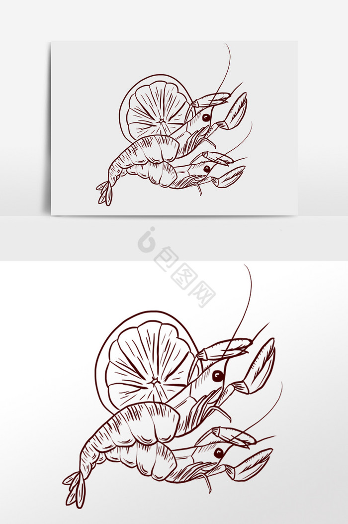 线描素描水产小龙虾插画图片