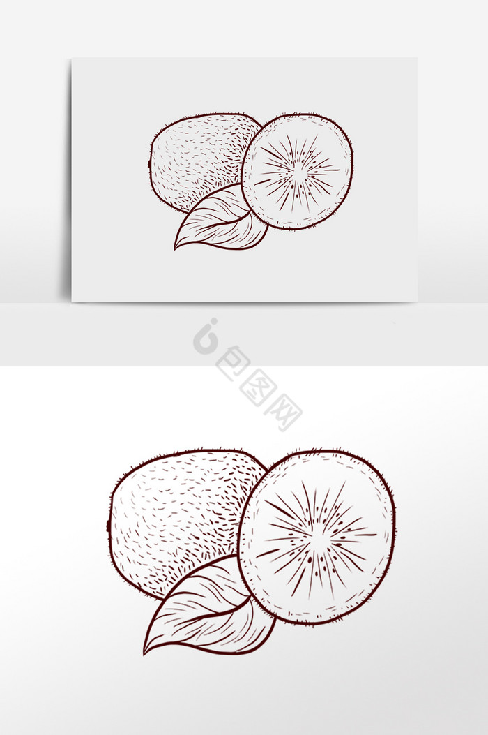 线描素描水果猕猴桃插画图片