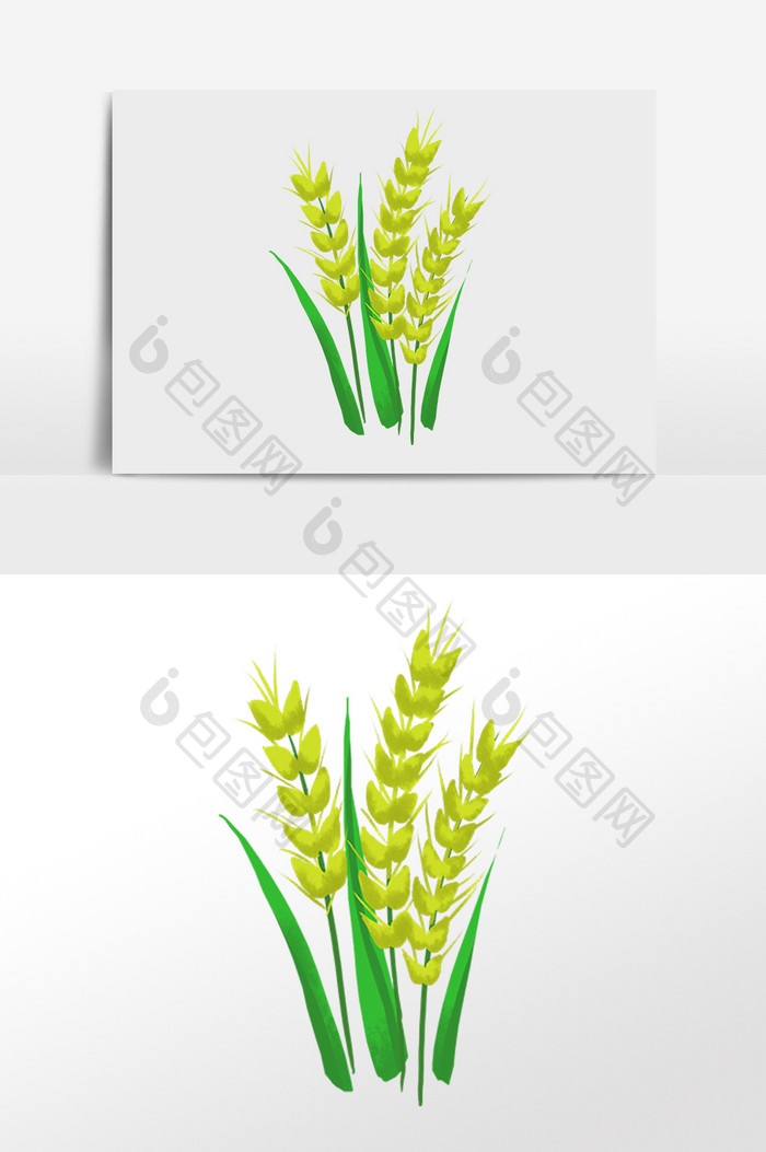 手绘农作物绿色小麦麦子插画