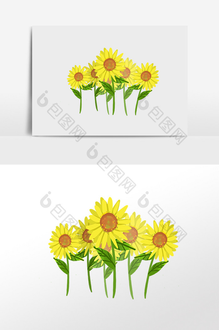 手绘农作物花朵向日葵插画